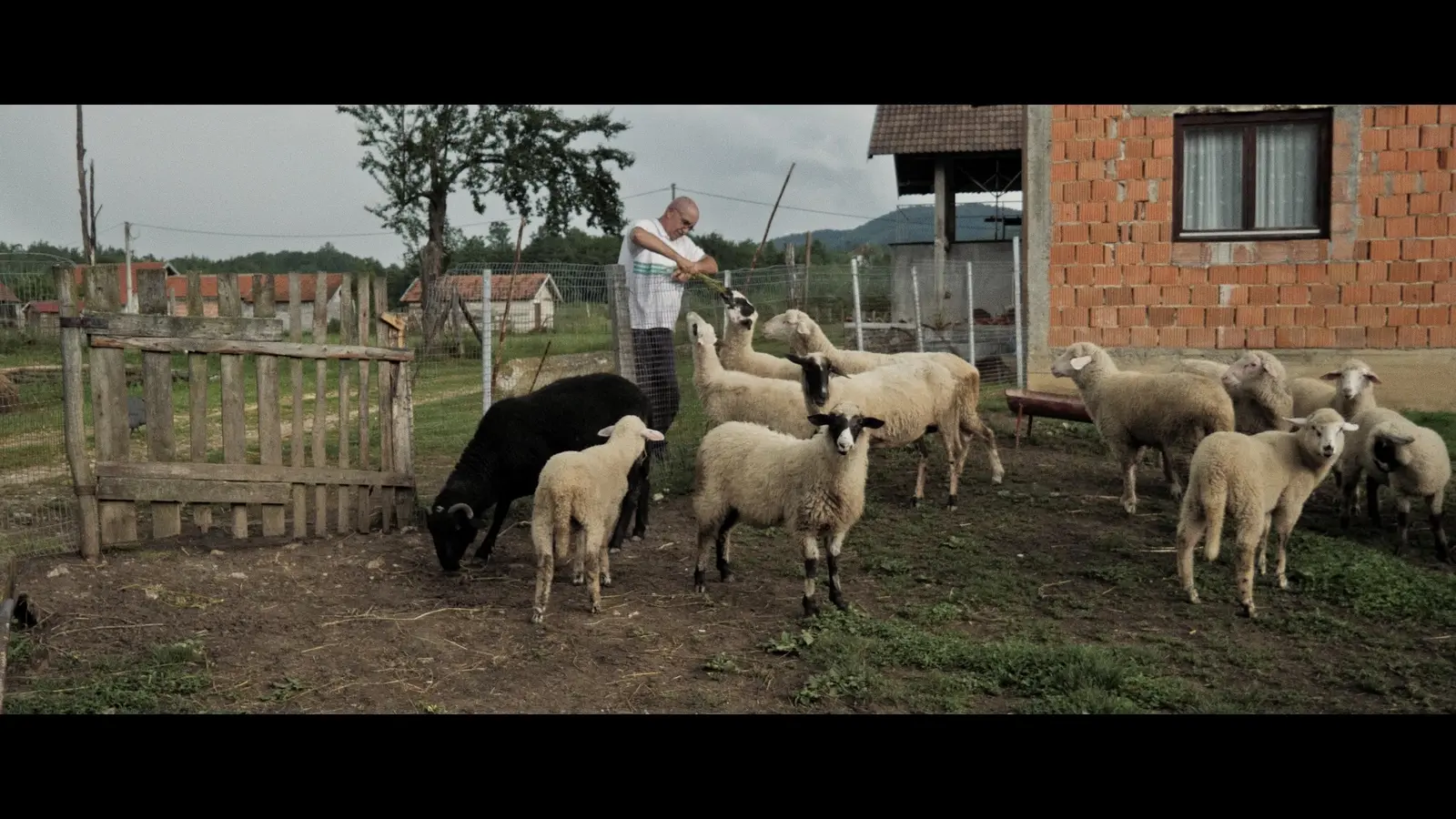 Film still from My Father’s Diaries 6