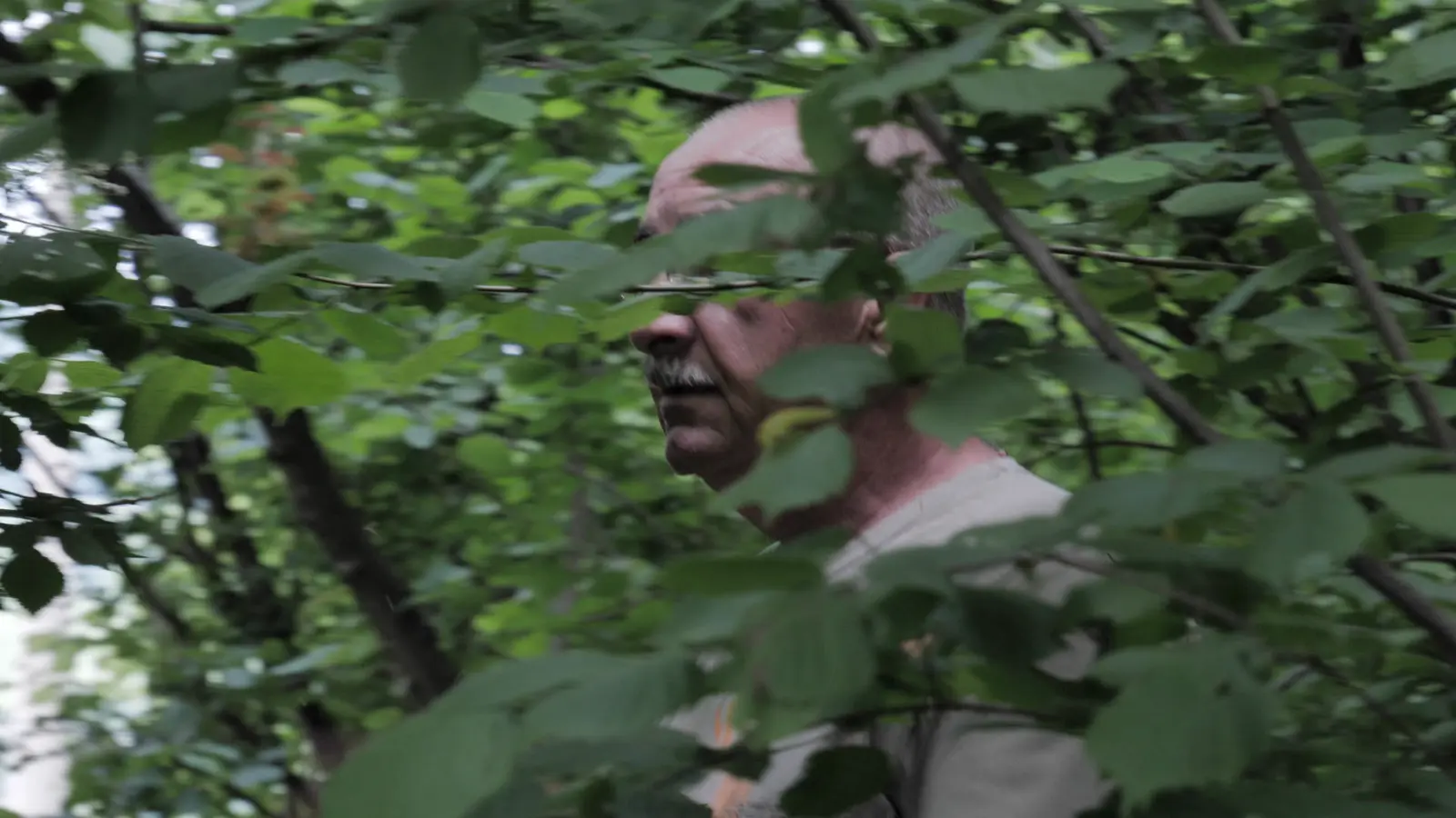 Film still from My Father’s Diaries 14