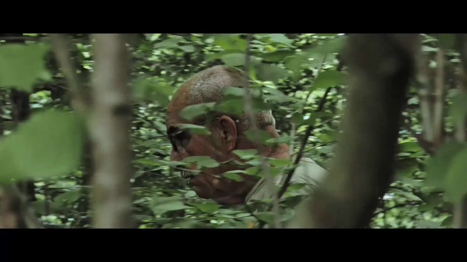 Film still from My Father’s Diaries 17